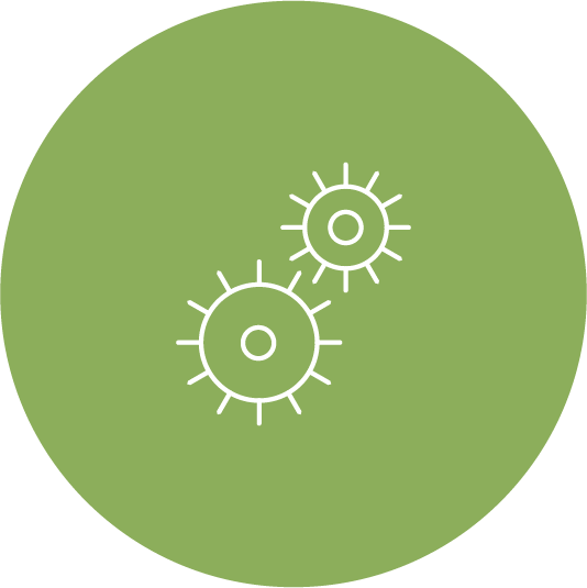About Us Icon 3